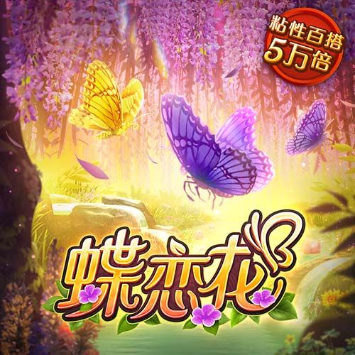 星空综合登陆2025最新版